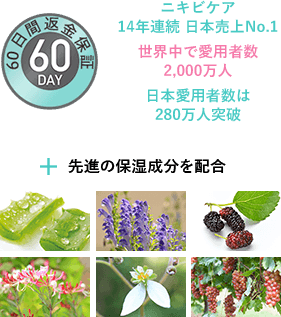 プロアクティブセット